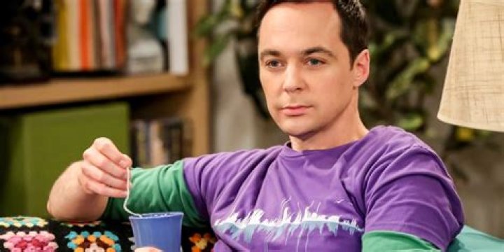 Big Bang Theory & Young Sheldon Laurie Metcalf & Daugther Zoe Perry